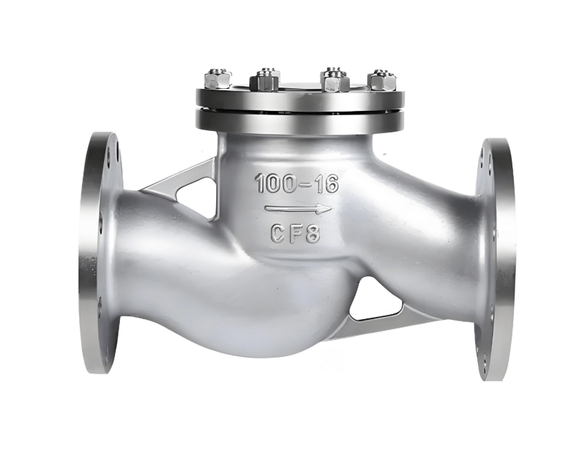 Check valve