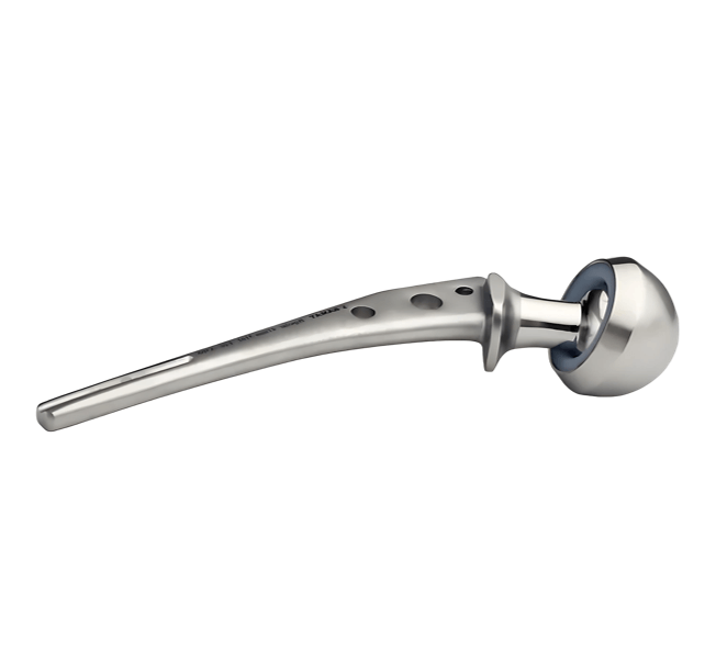 Artificial hip implant castings